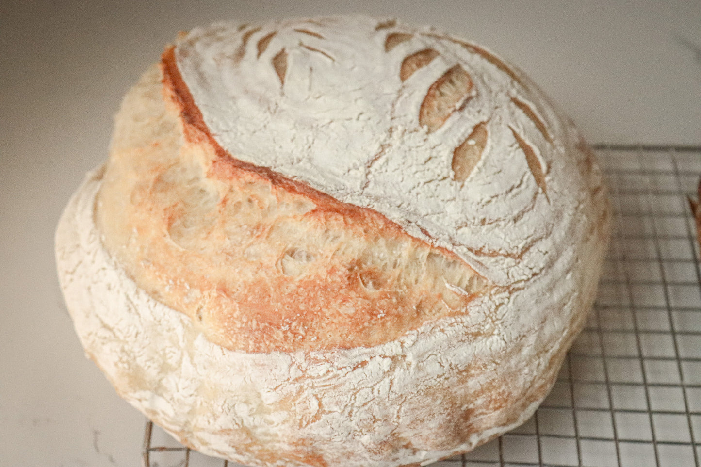 Plain Sourdough Loaf