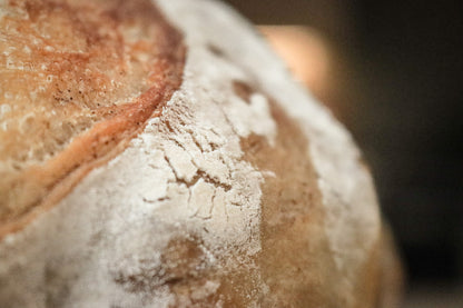 Plain Sourdough Loaf